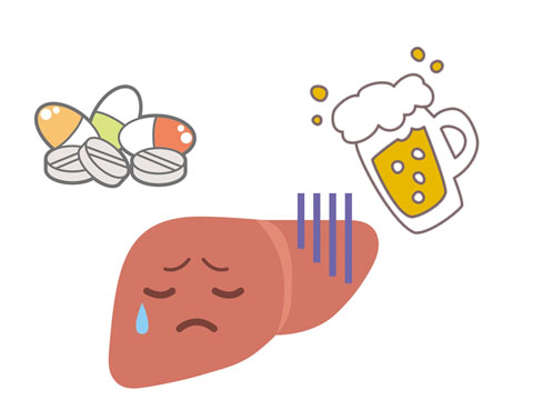 アルコールと薬の分解で限界に来ている肝臓