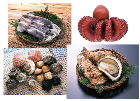 イカ、タコ、牡蠣などの魚介類