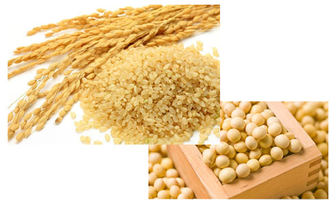 大豆と玄米